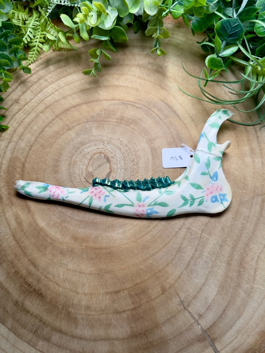 Deer Jawbone- Hand Decorated | Copper Ashes