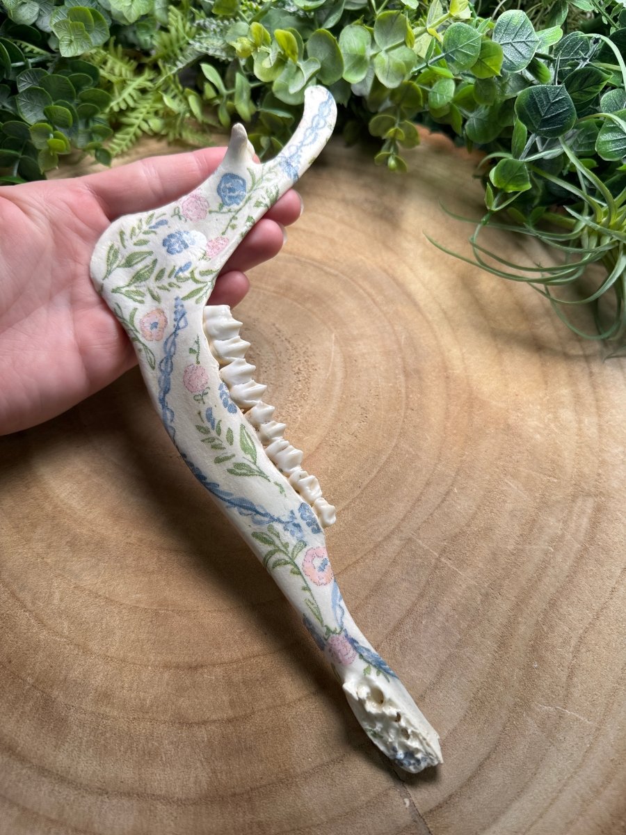 Deer Jawbone- Hand Decorated | Copper Ashes