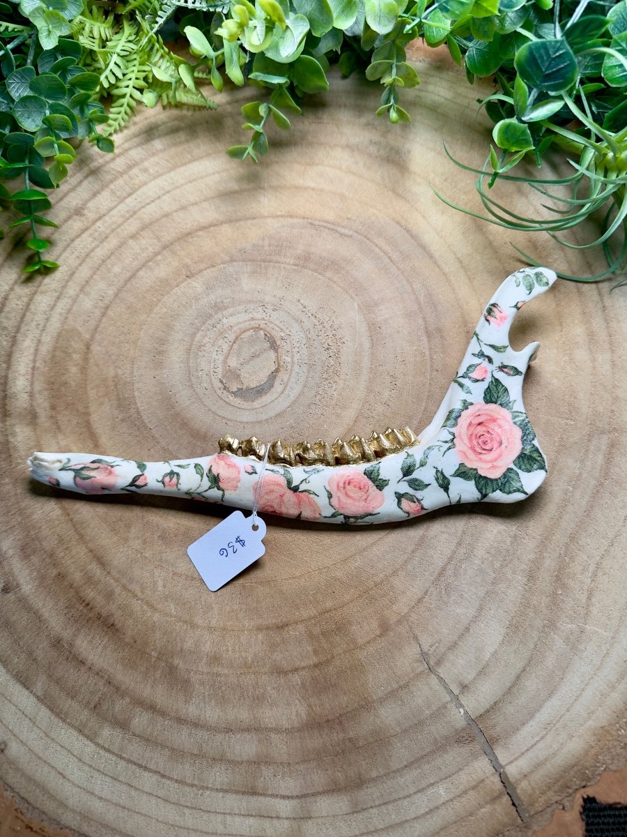 Deer Jawbone- Hand Decorated | Copper Ashes