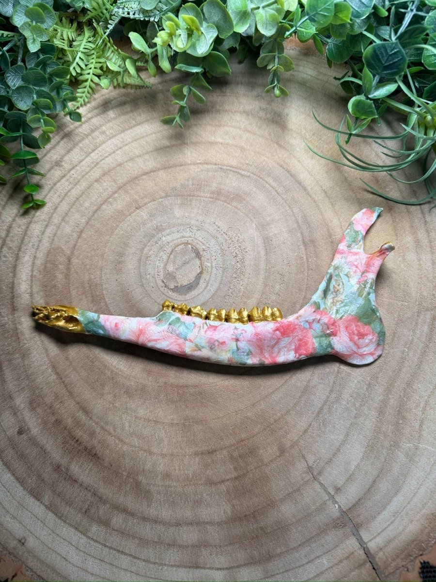 Deer Jawbone- Hand Decorated | Copper Ashes