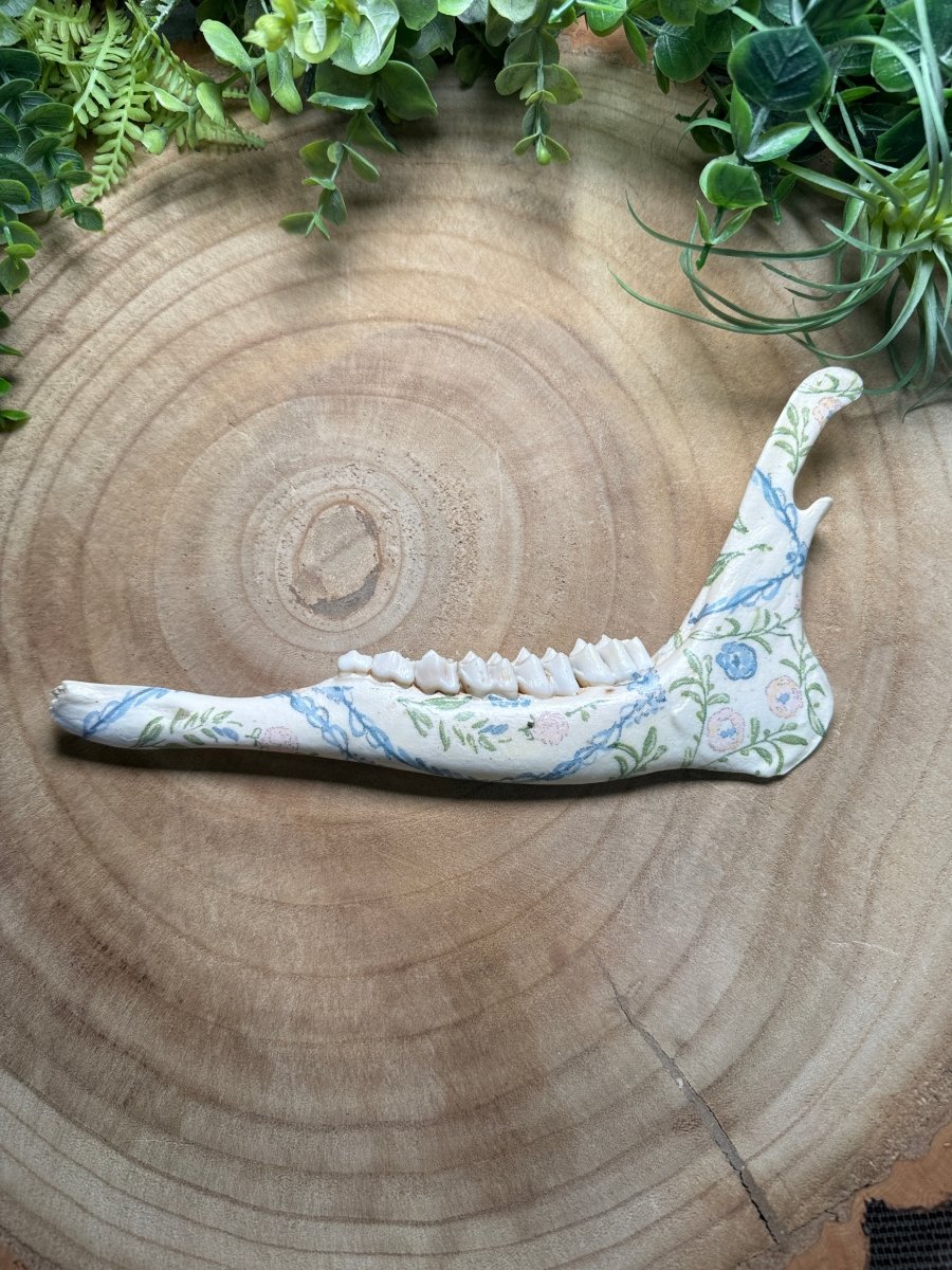 Deer Jawbone- Hand Decorated | Copper Ashes