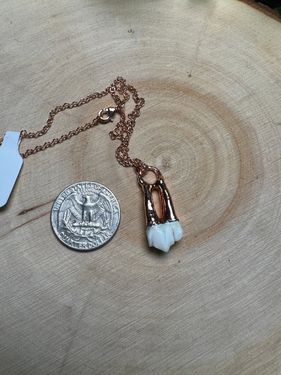 Deer Tooth Necklace | Copper Ashes