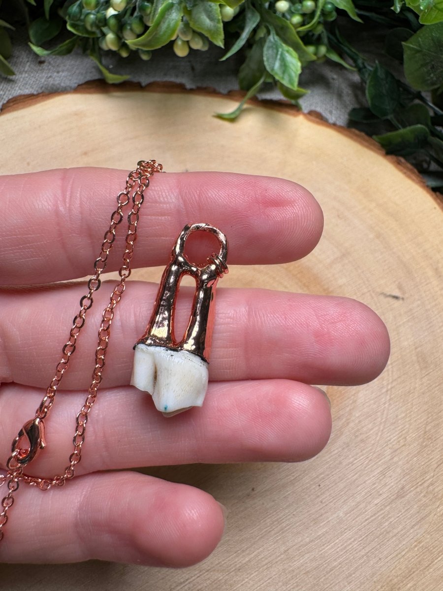 Deer Tooth Necklace | Copper Ashes