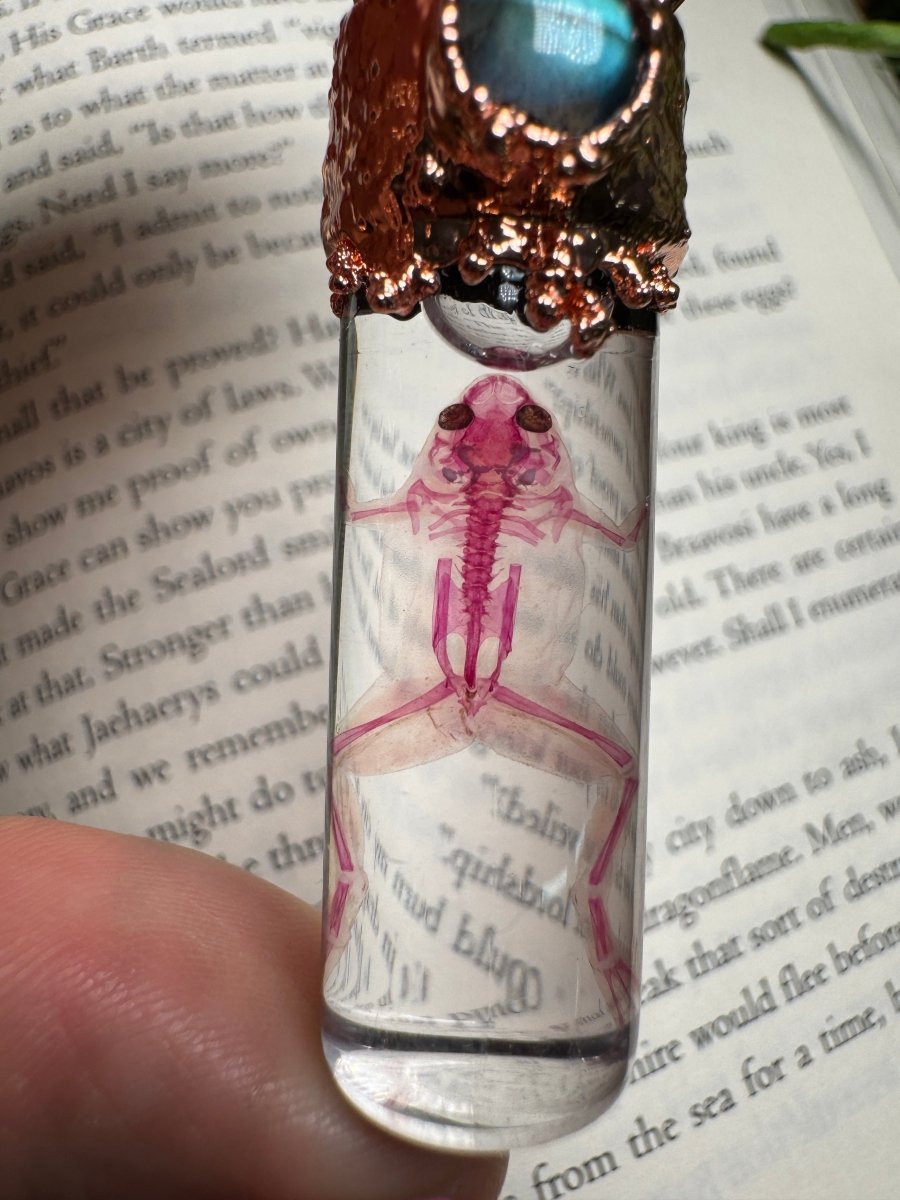 Diaphonized Frog and Labradorite Oddity Necklace | Copper Ashes