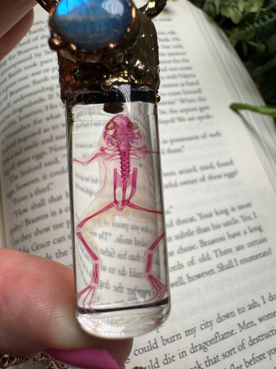 Diaphonized Frog and Labradorite Oddity Necklace | Copper Ashes