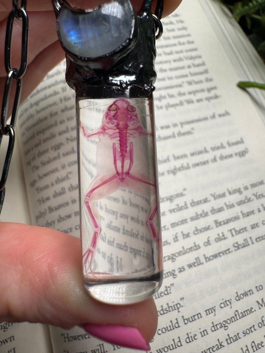 Diaphonized Frog and Moonstone Oddity Necklace | Copper Ashes