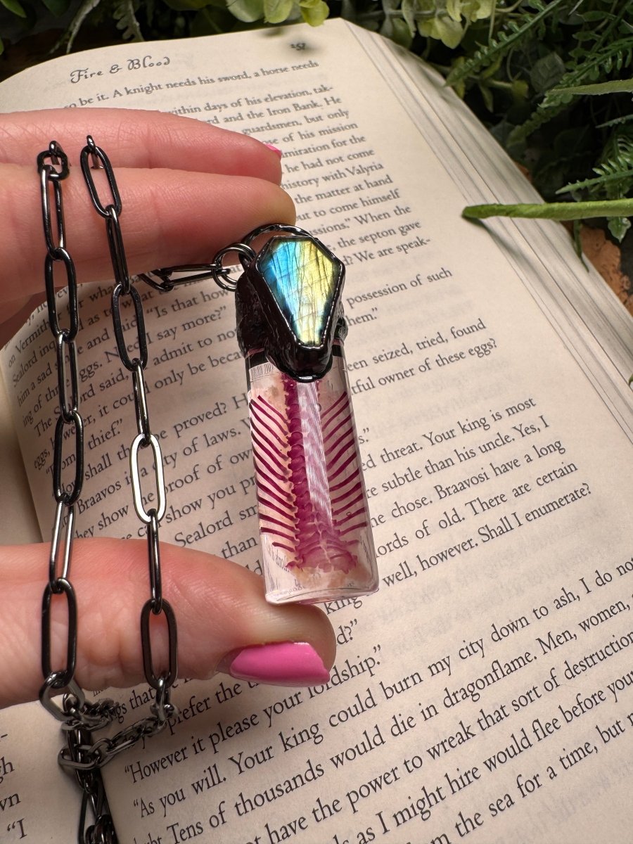 Diaphonized Rat Ribcage and Labradorite Coffin Oddity Necklace | Copper Ashes