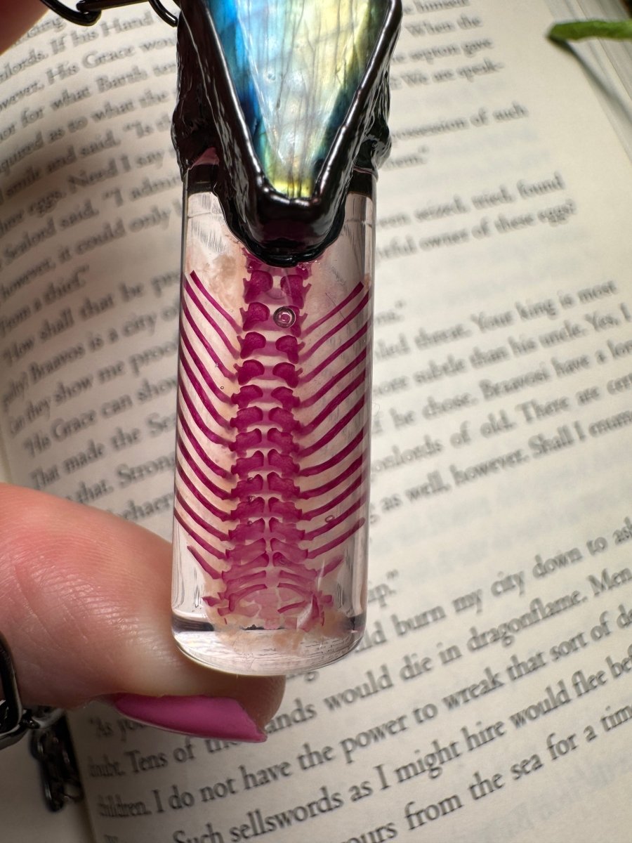 Diaphonized Rat Ribcage and Labradorite Coffin Oddity Necklace | Copper Ashes