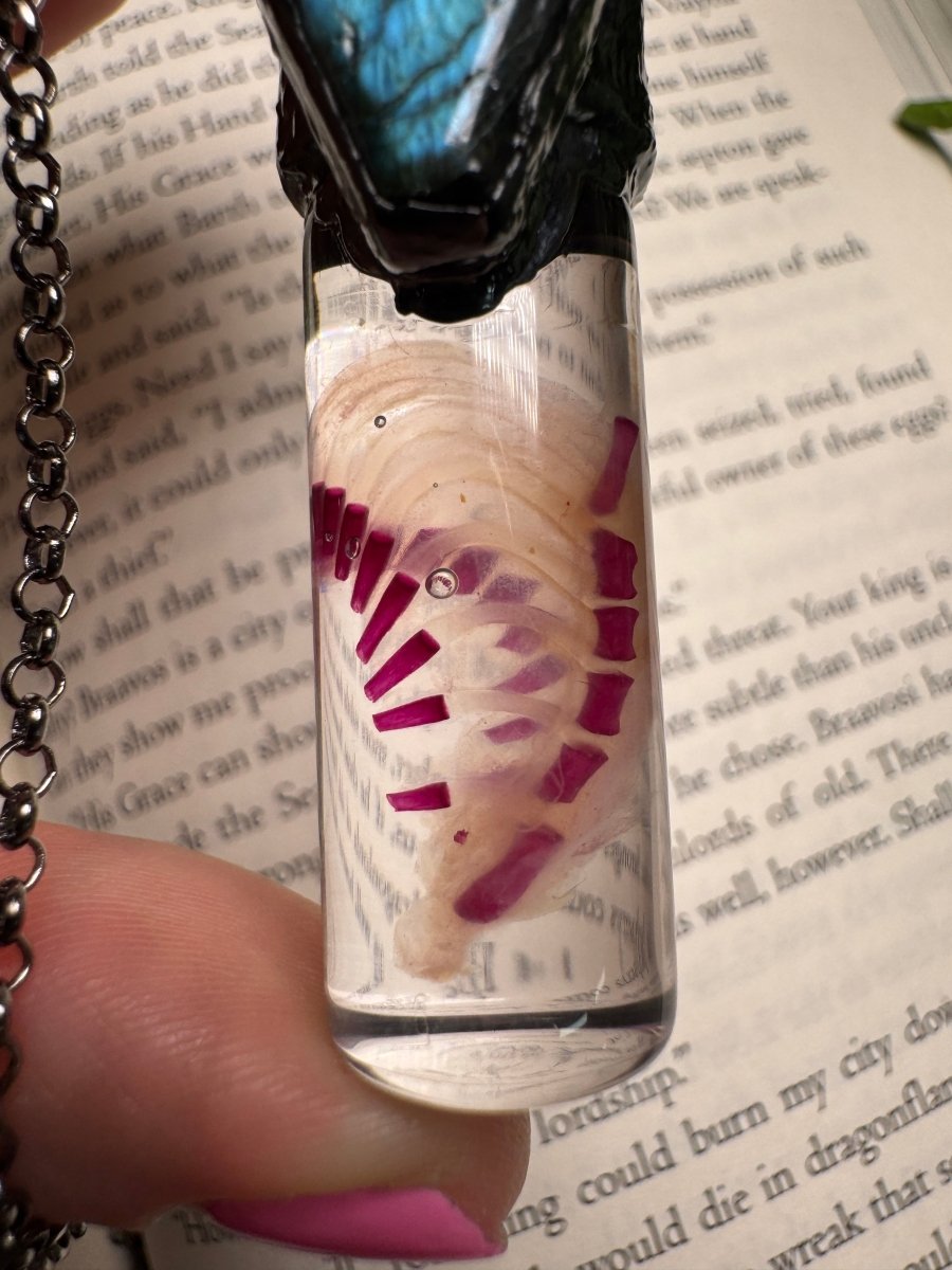 Diaphonized Rat Ribcage and Labradorite Coffin Oddity Necklace | Copper Ashes