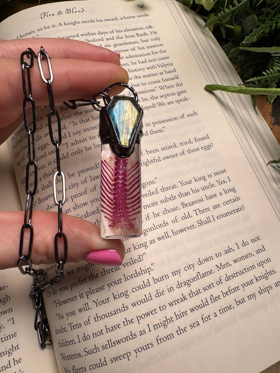 Diaphonized Rat Ribcage and Labradorite Coffin Oddity Necklace | Copper Ashes