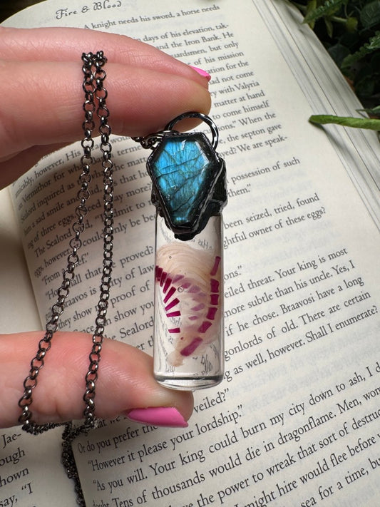 Diaphonized Rat Ribcage and Labradorite Coffin Oddity Necklace | Copper Ashes