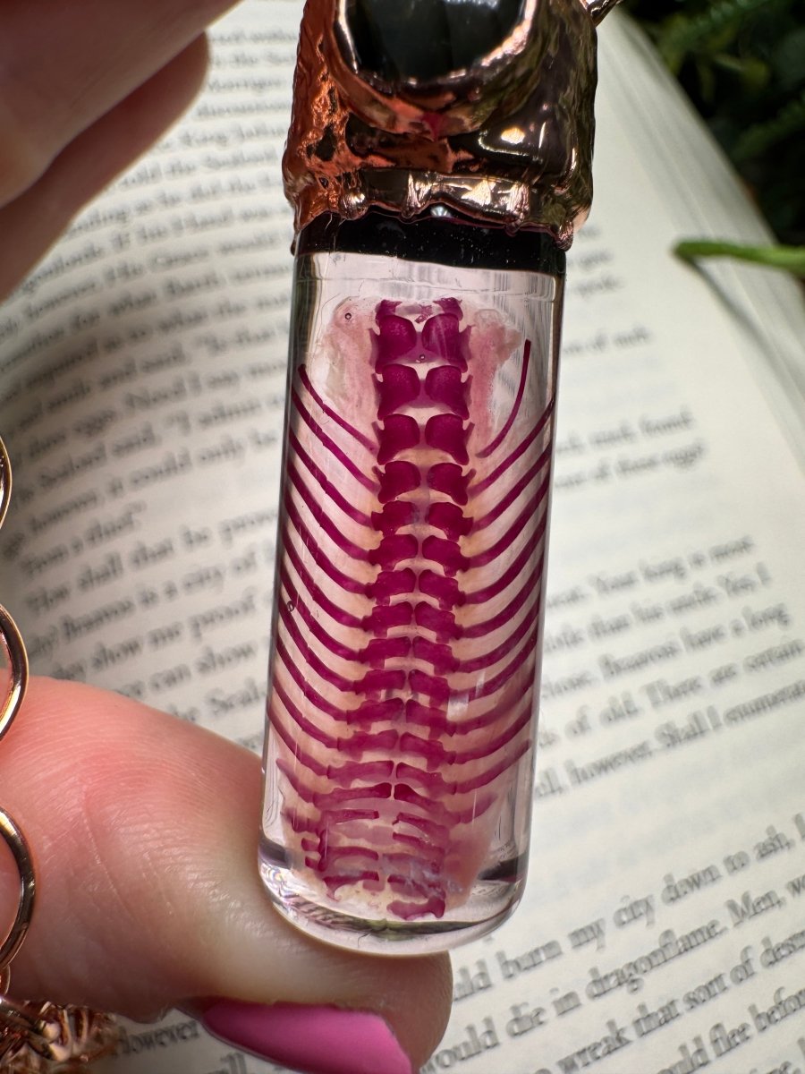 Diaphonized Rat Ribcage and Labradorite Oddity Necklace | Copper Ashes