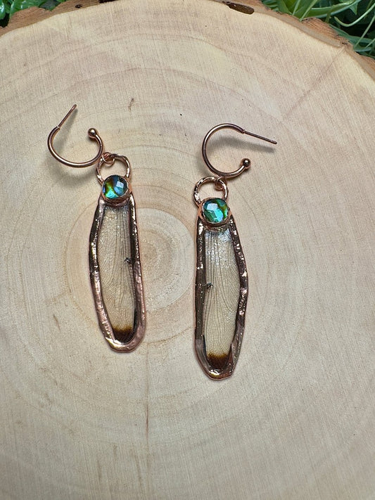 Dragonfly Wing and Abalone Shell Earrings | Copper Ashes