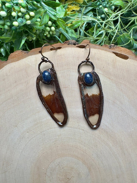 Dragonfly Wing and Lapis Earrings | Copper Ashes