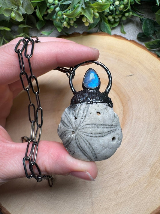 Draven - Fossilized Sea Biscuit and Moonstone Necklace | Copper Ashes