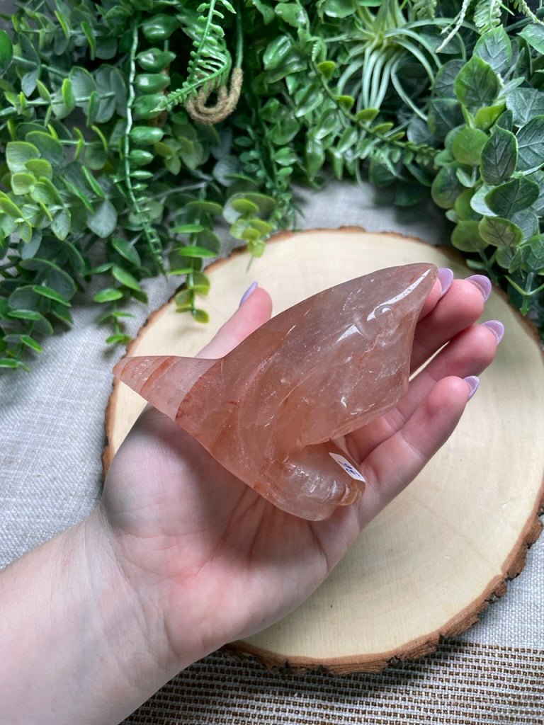 Fire Quartz Shark | Copper Ashes