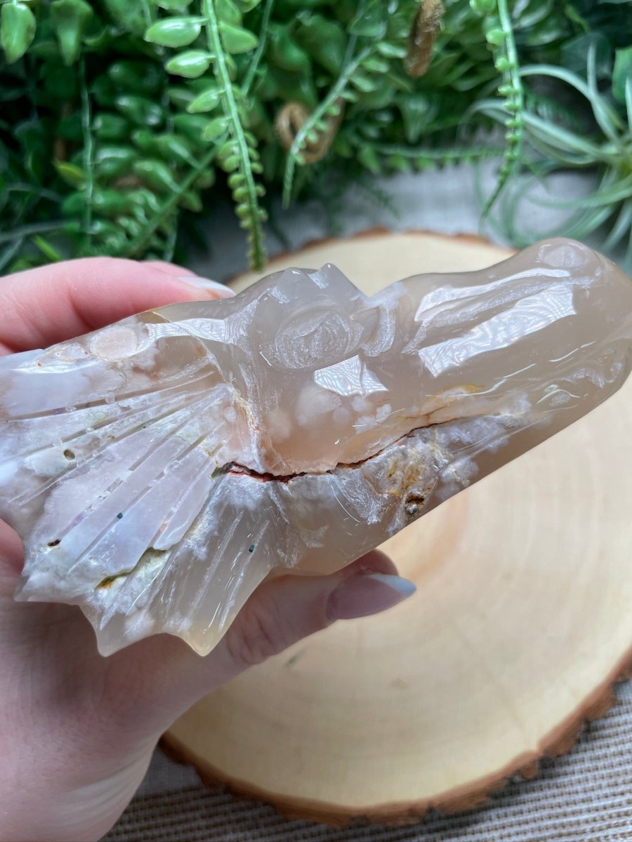 Flower Agate Dragon | Copper Ashes