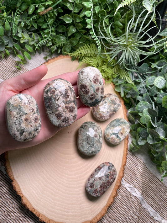 Flower Jasper Palm Stone | Copper Ashes