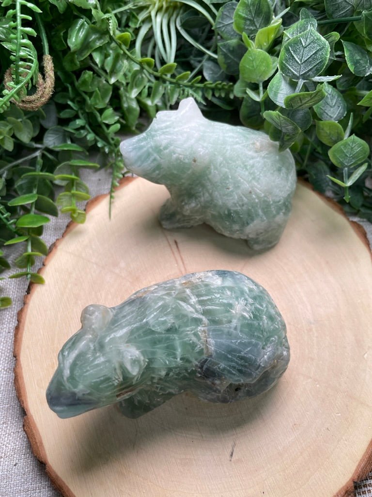 Fluorite Bear | Copper Ashes