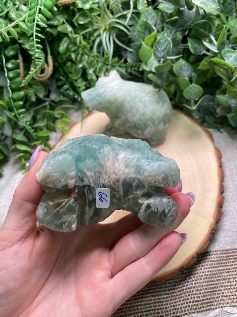 Fluorite Bear | Copper Ashes