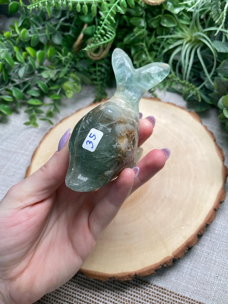 Fluorite Dolphin | Copper Ashes