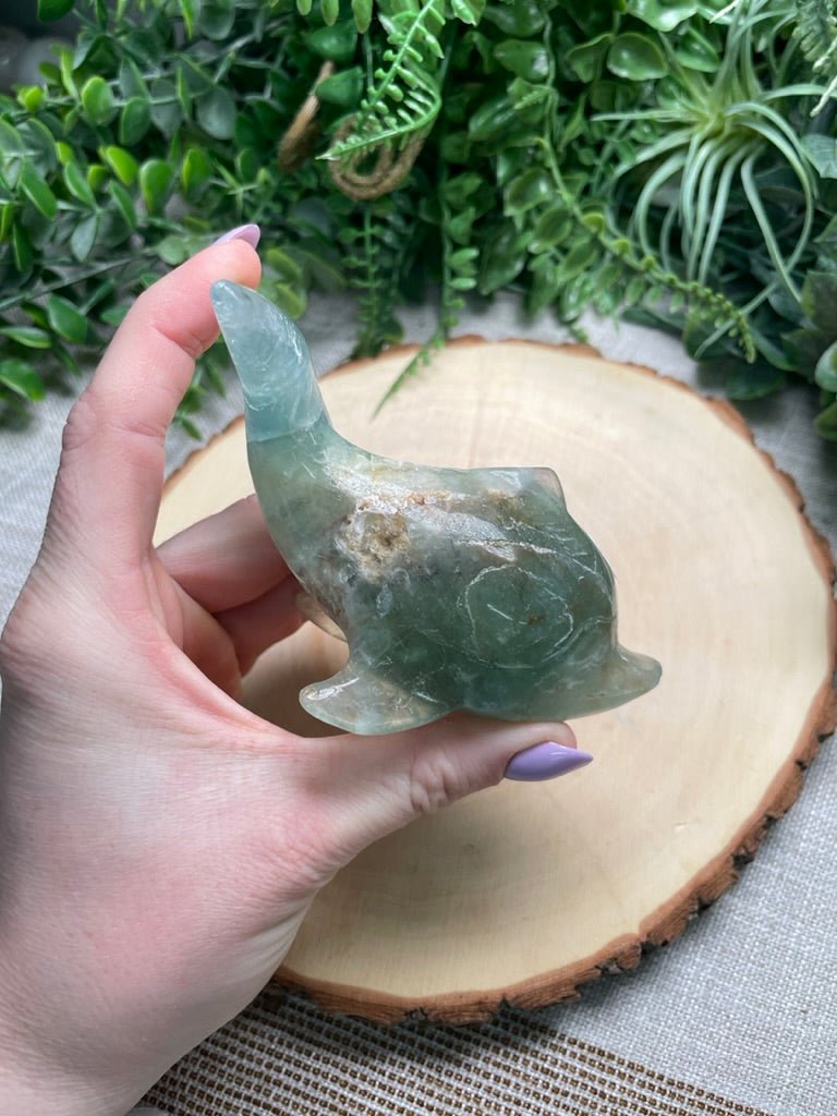 Fluorite Dolphin | Copper Ashes
