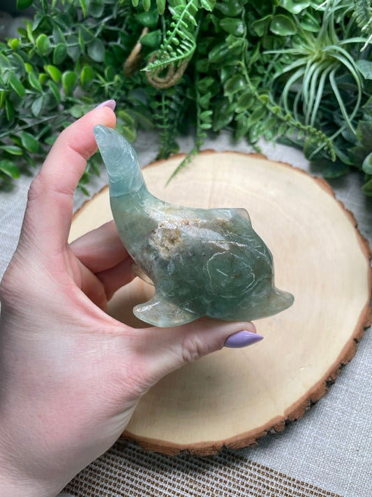 Fluorite Dolphin | Copper Ashes