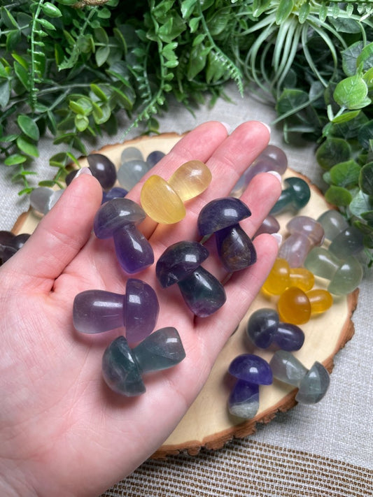 Fluorite Mushroom | Copper Ashes