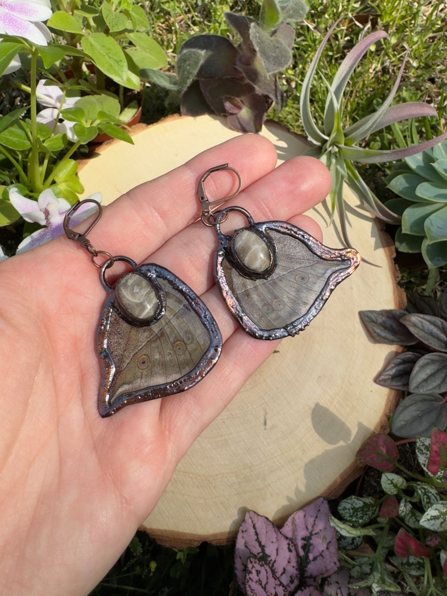 Fossilized Coral Butterfly Wing Earrings | Copper Ashes