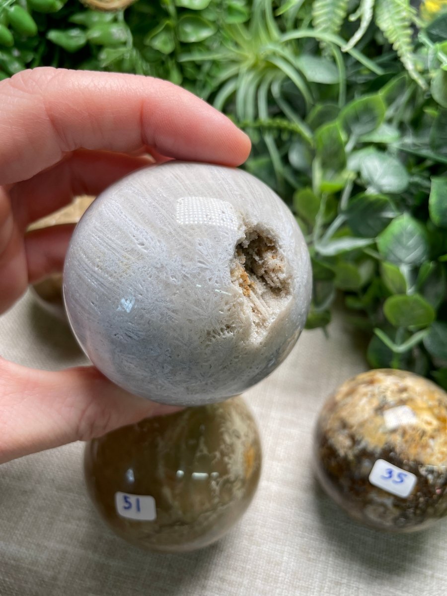 Fossilized Coral Sphere | Copper Ashes