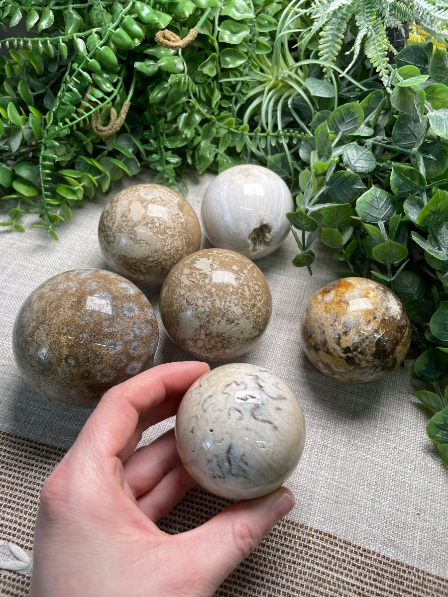 Fossilized Coral Sphere | Copper Ashes