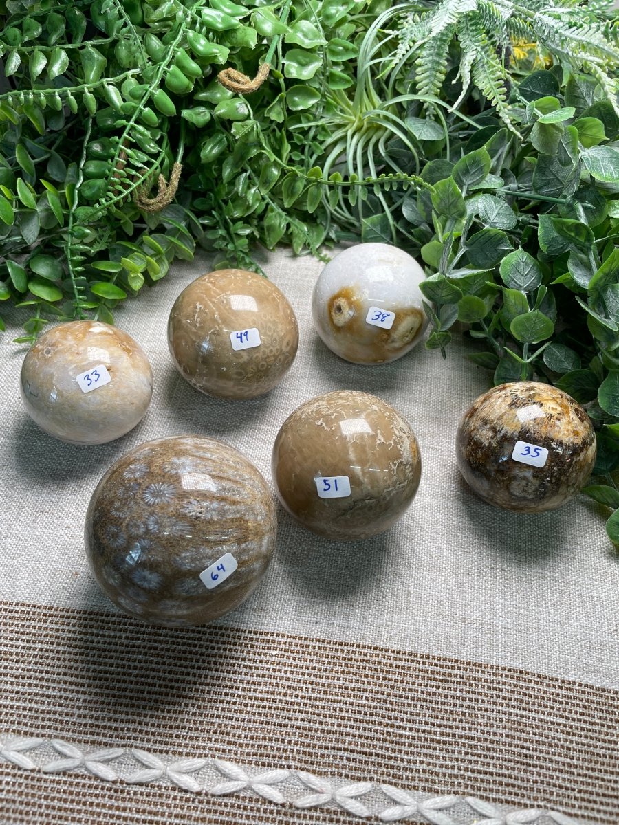 Fossilized Coral Sphere | Copper Ashes