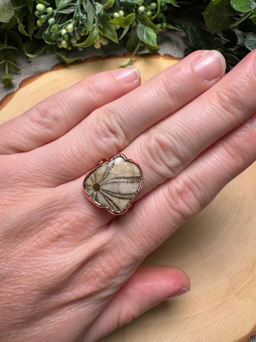 Fossilized Sea Biscuit Ring Size 7 | Copper Ashes
