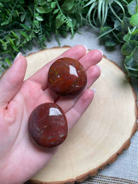 Fossilized Wood Palm Stone | Copper Ashes