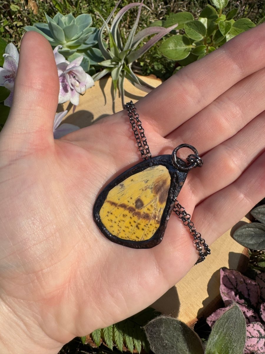 Gold Sheen Obsidian and Imperial Moth Wing Necklace | Copper Ashes