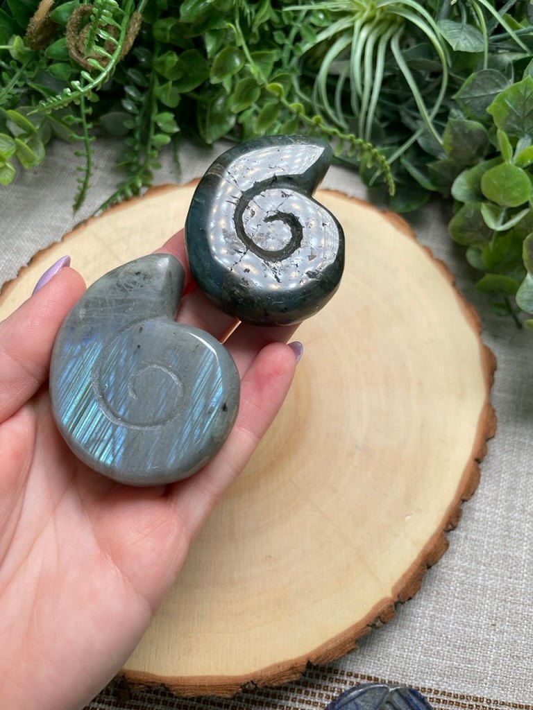 Labradorite Ammonite | Copper Ashes