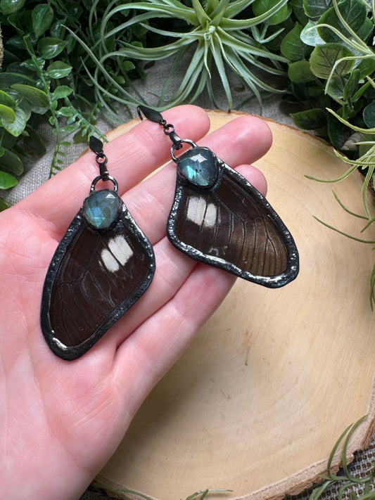 Labradorite and Butterfly Wing Earrings | Copper Ashes
