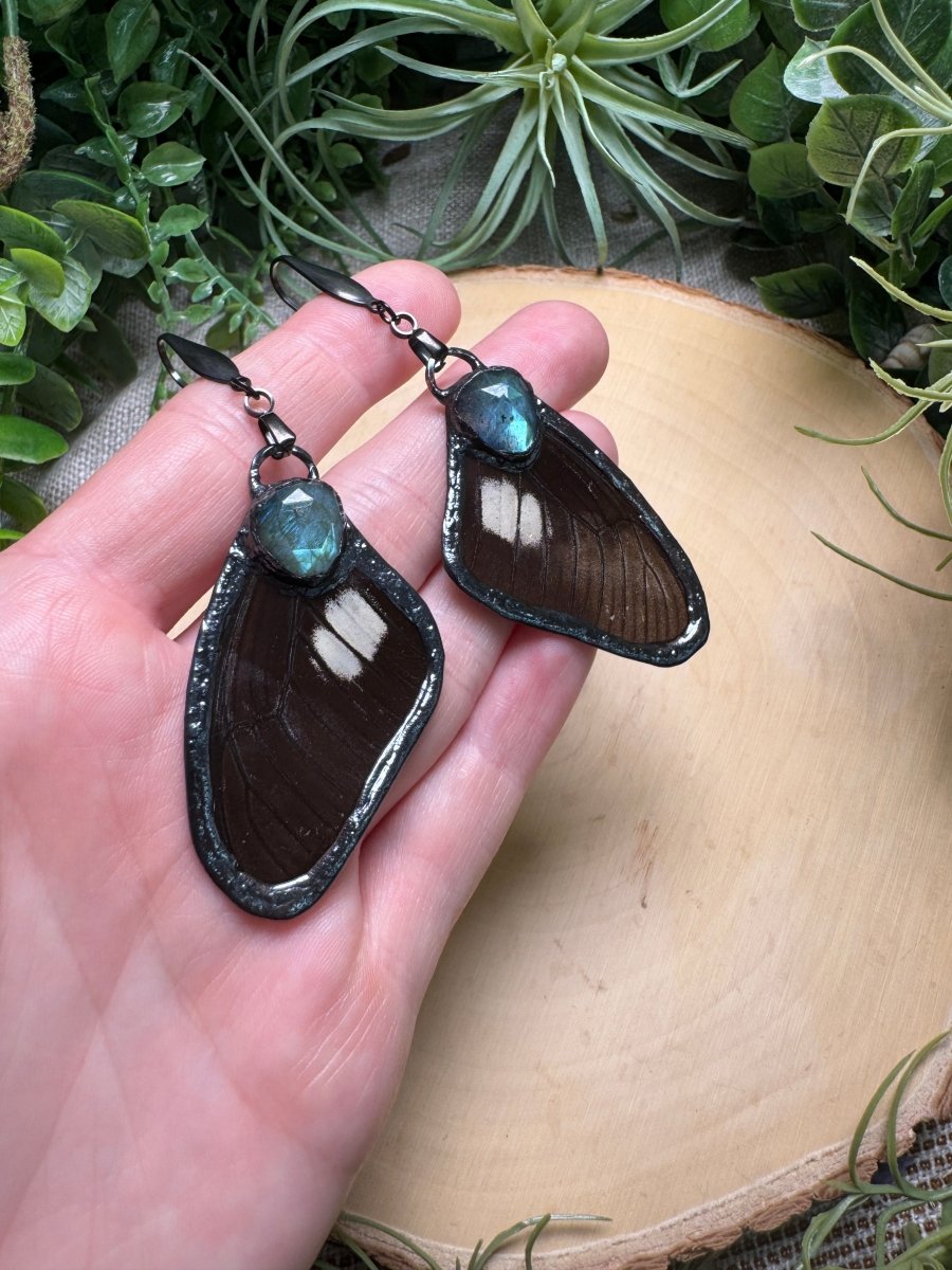 Labradorite and Butterfly Wing Earrings | Copper Ashes