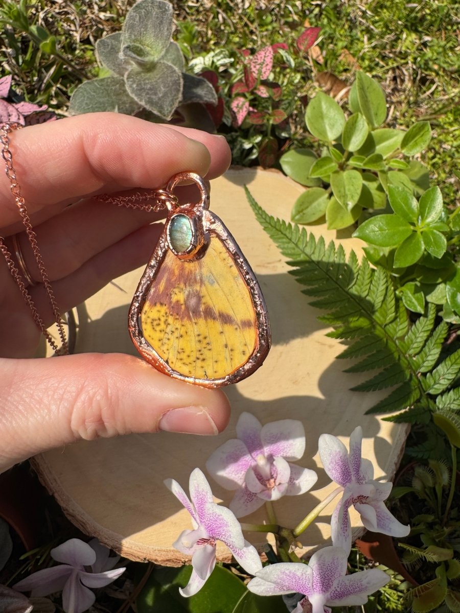 Labradorite and Imperial Moth Wing Necklace | Copper Ashes