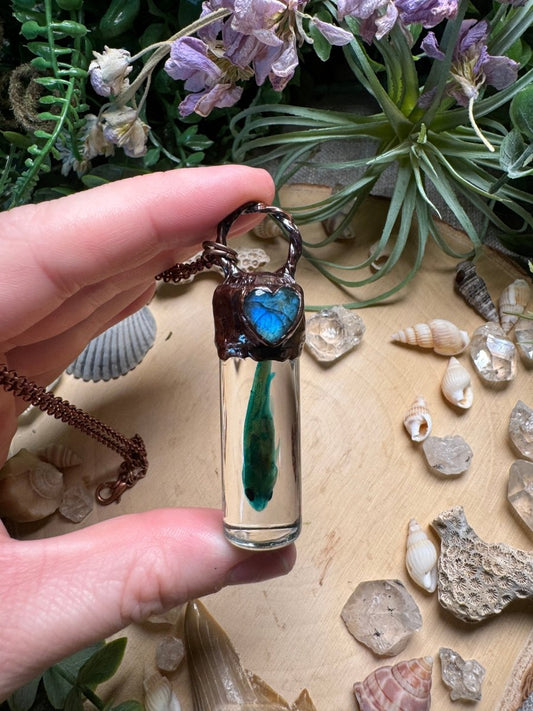 Labradorite and Minnow Oddity Vial Necklace | Copper Ashes