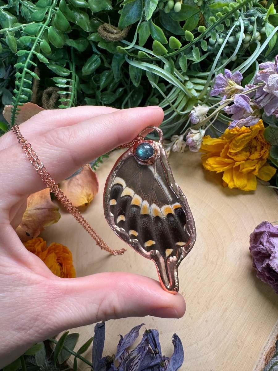 Labradorite and Swallowtail Butterfly Wing Necklace | Copper Ashes