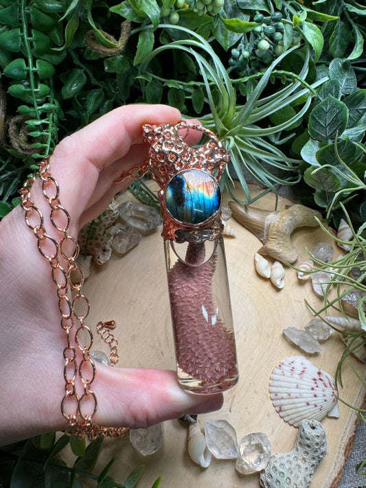 Labradorite, Coral, and Starfish Arm Oddity Vial Necklace | Copper Ashes