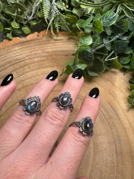 Labradorite Ring Adjustable | Copper Ashes