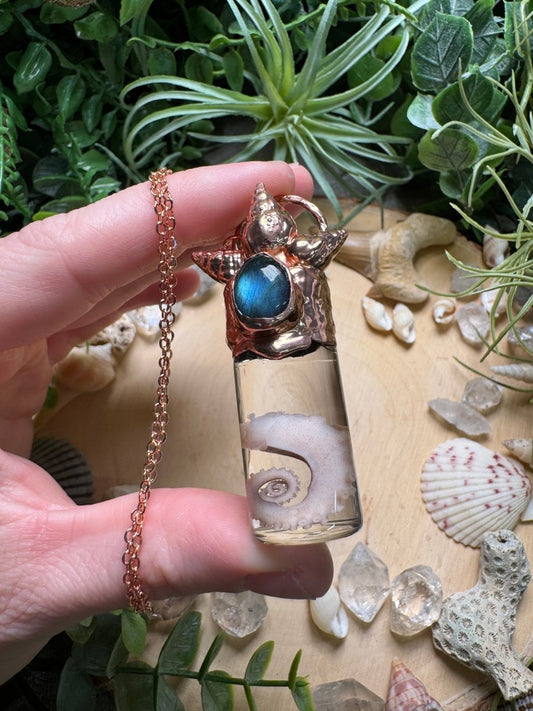 Labradorite, Shell, and Octopus Tentacle Oddity Vial Necklace | Copper Ashes
