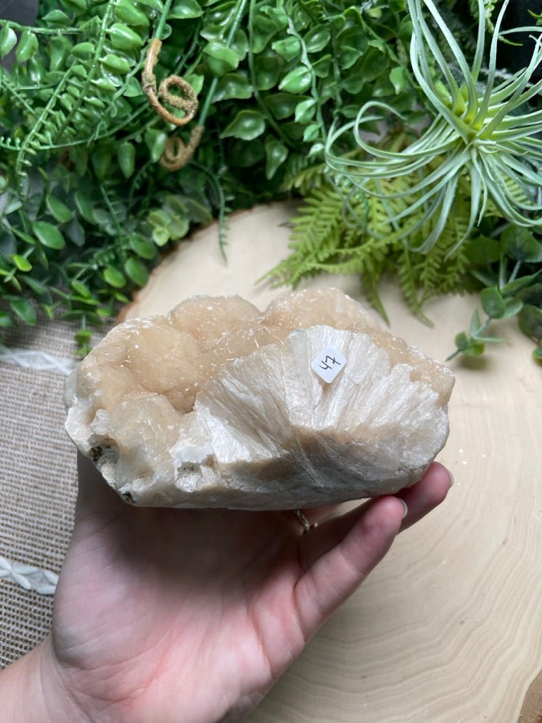 Large Apophyllite Cluster | Copper Ashes