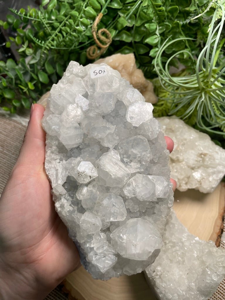 Large Apophyllite Cluster | Copper Ashes