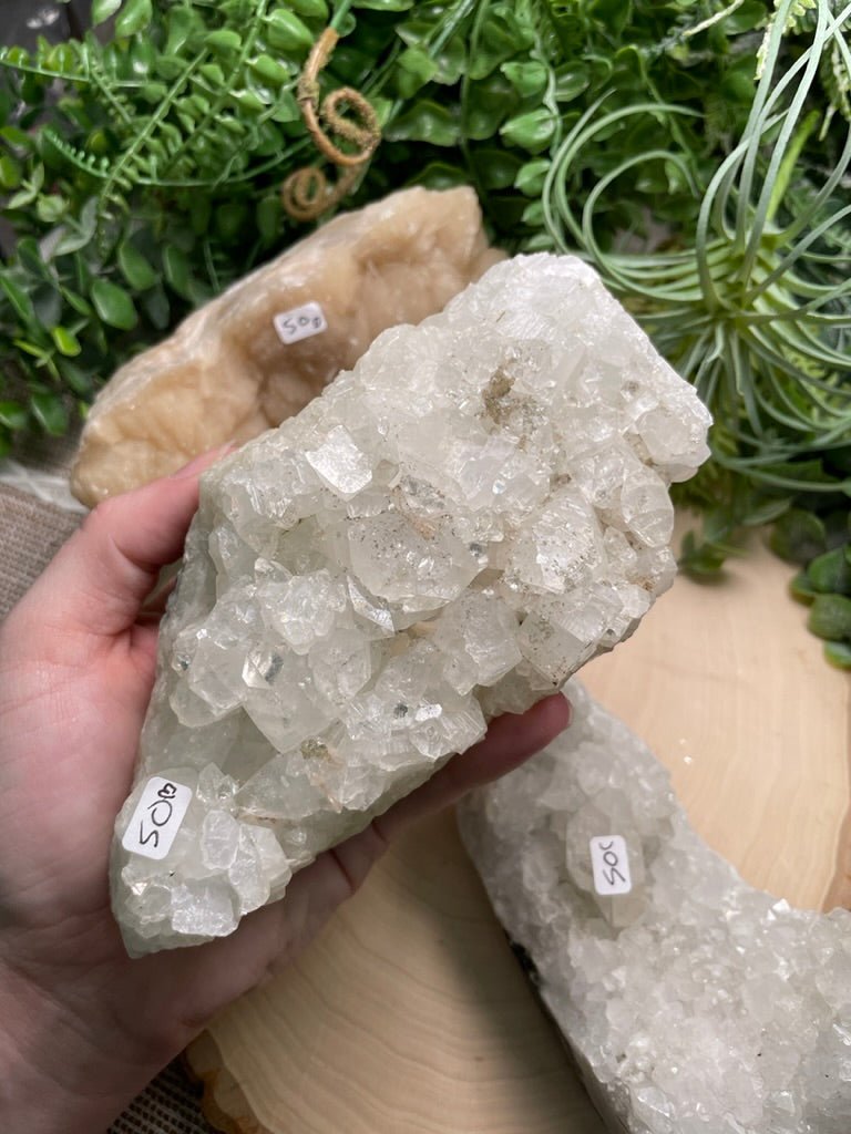 Large Apophyllite Cluster | Copper Ashes