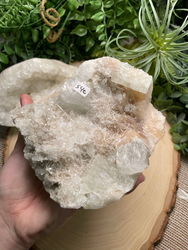 Large Apophyllite Cluster | Copper Ashes