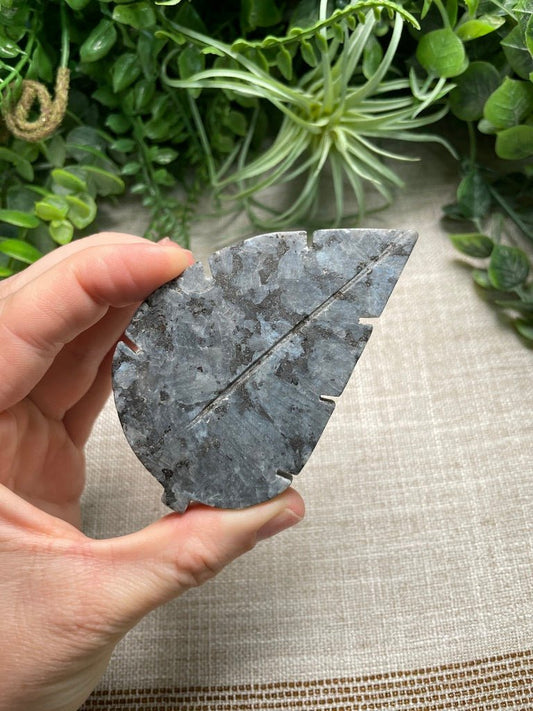 Larvikite Leaf | Copper Ashes