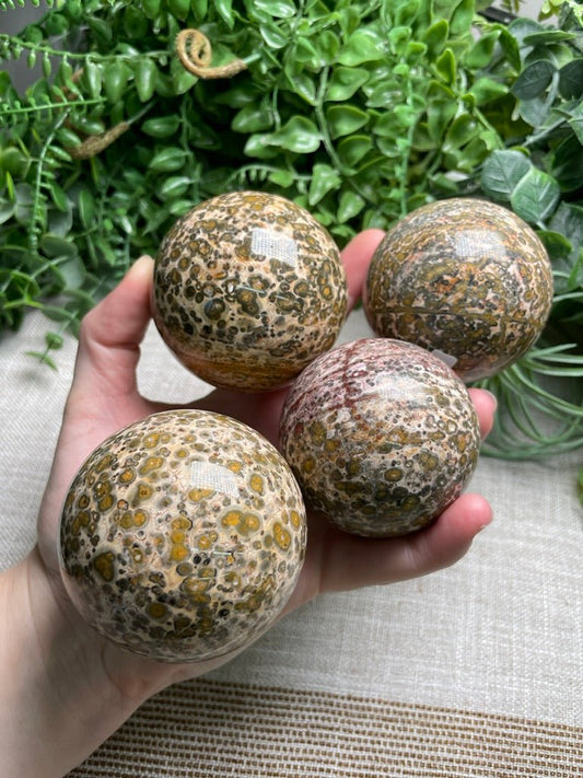 Leopard Skin Jasper Sphere | Copper Ashes